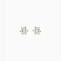 Julia Crystal Six-Point Star Stud Earrings 14k Gold Plated Daily